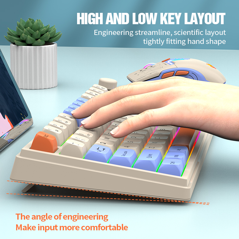 2.4G Dual-Mode Bluetooth Wirel - Gaming Keyboard Bundle 评论和价格